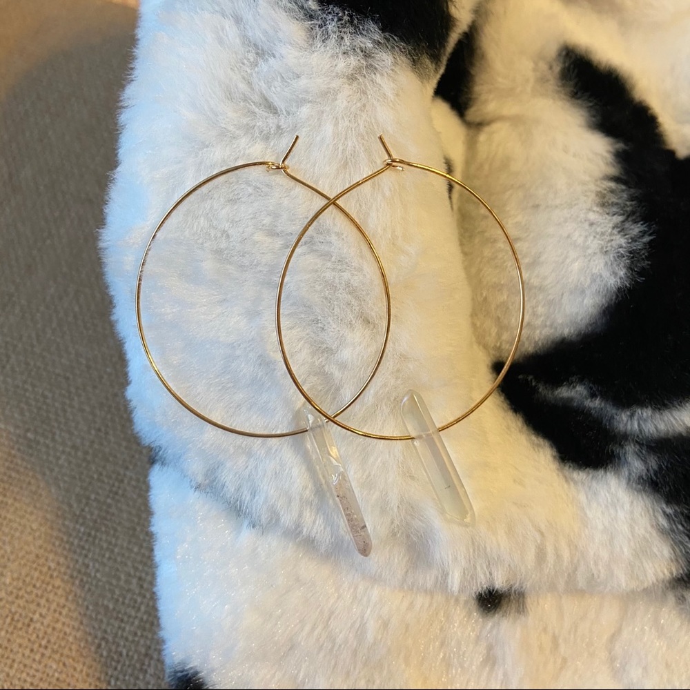 Crystal Pendant Hoop Earrings - Picture 5 of 9